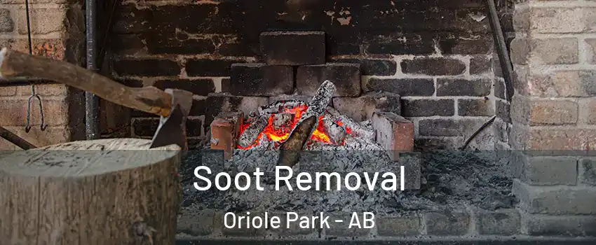 Soot Removal Oriole Park - AB