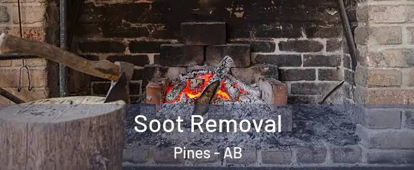 Soot Removal Pines - AB