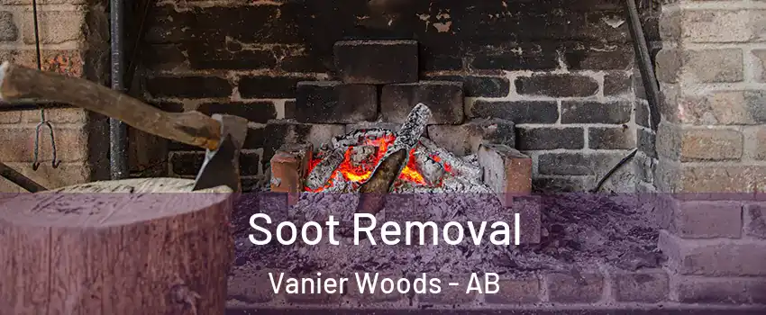  Soot Removal Vanier Woods - AB
