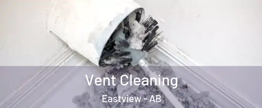 Vent Cleaning Eastview - AB