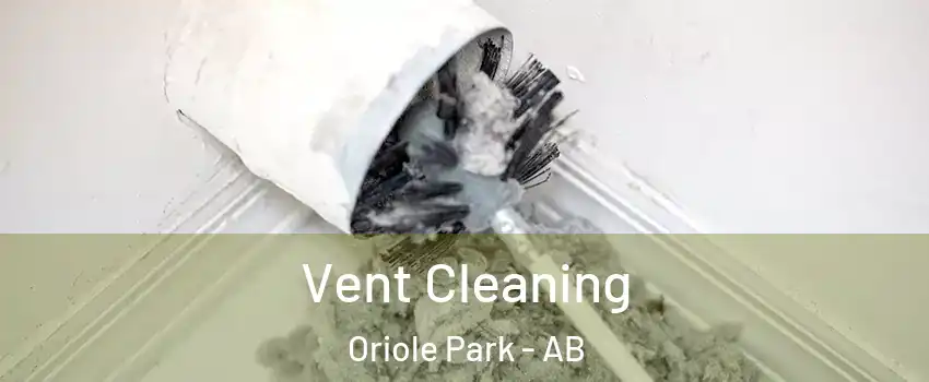 Vent Cleaning Oriole Park - AB