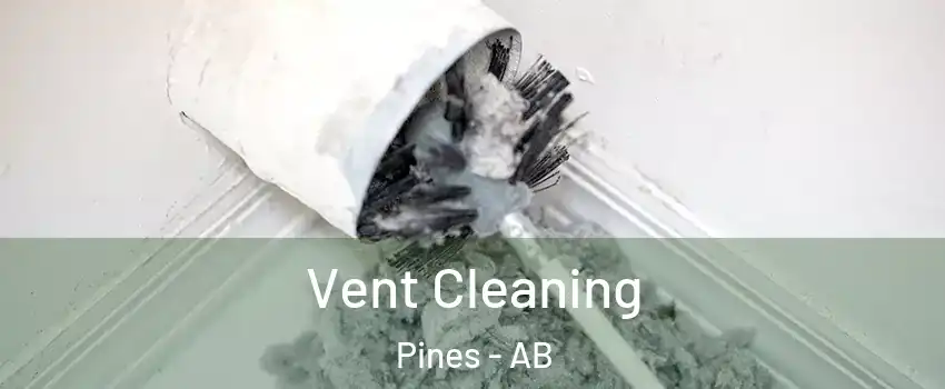 Vent Cleaning Pines - AB