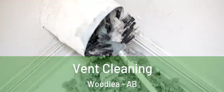 Vent Cleaning Woodlea - AB