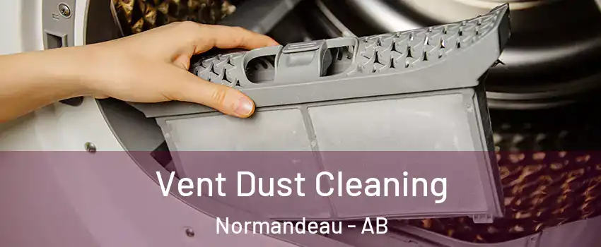Vent Dust Cleaning Normandeau - AB