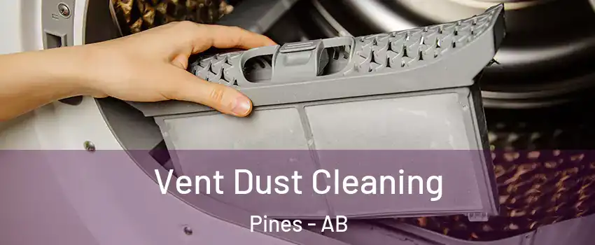 Vent Dust Cleaning Pines - AB