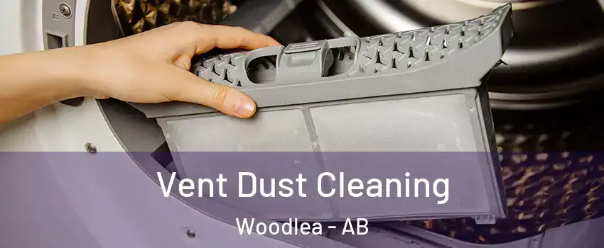 Vent Dust Cleaning Woodlea - AB