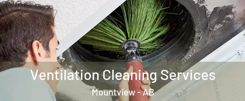 Ventilation Cleaning Services Mountview - AB