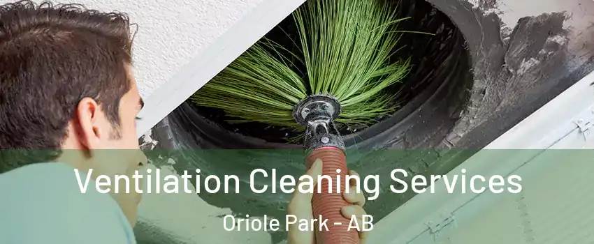 Ventilation Cleaning Services Oriole Park - AB