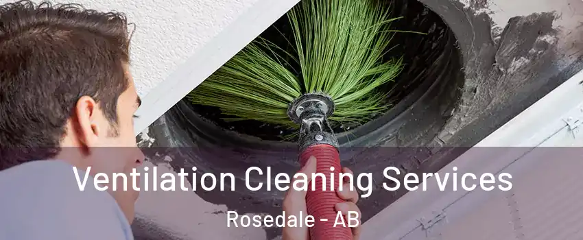 Ventilation Cleaning Services Rosedale - AB
