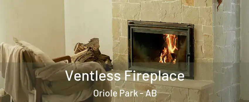 Ventless Fireplace Oriole Park - AB