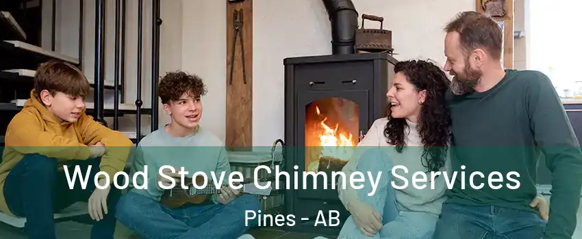 Wood Stove Chimney Services Pines - AB