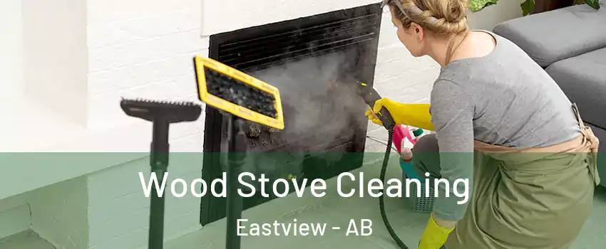 Wood Stove Cleaning Eastview - AB