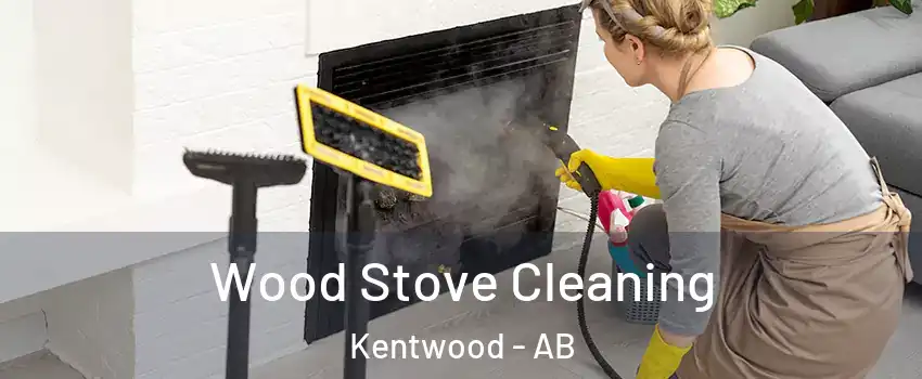 Wood Stove Cleaning Kentwood - AB
