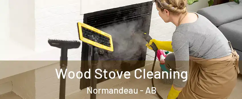 Wood Stove Cleaning Normandeau - AB