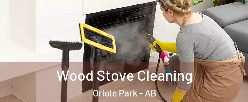 Wood Stove Cleaning Oriole Park - AB