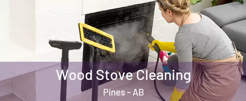 Wood Stove Cleaning Pines - AB