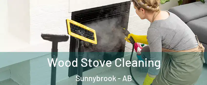 Wood Stove Cleaning Sunnybrook - AB