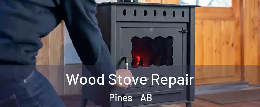 Wood Stove Repair Pines - AB